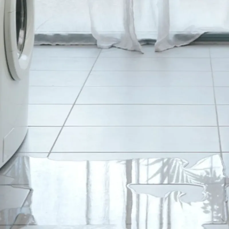 Appliance Leak Cleanup in Kleberg County, TX