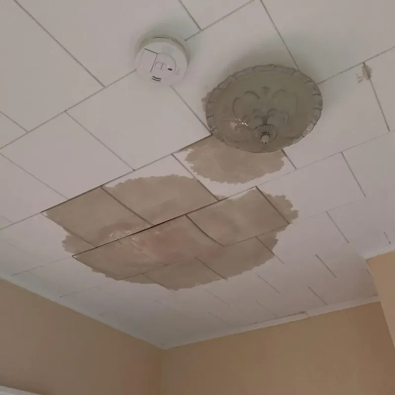 Ceiling Water Damage Repair in Kleberg County, TX