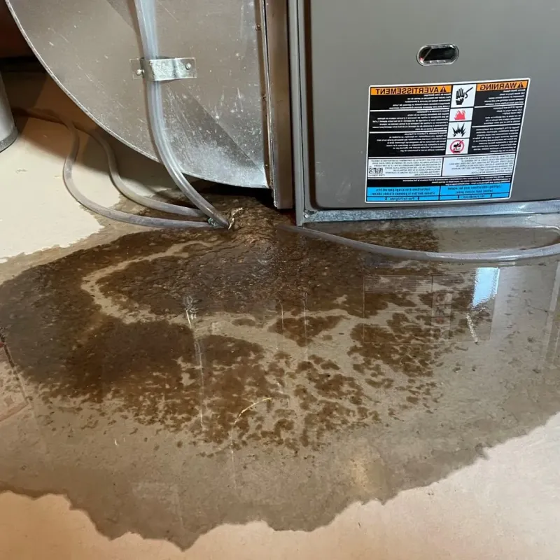 Pipe Burst and Leak Restoration in Kleberg County, TX