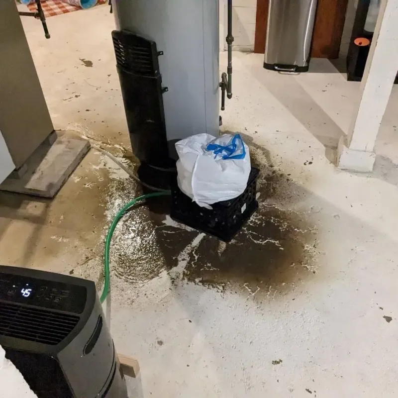 Sewage Backup Cleanup Service in Kleberg County, TX